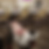 Ragneg thumbnail